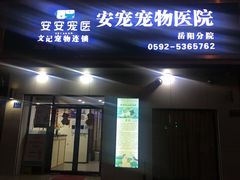 -安安宠医宠物医院·异宠·犬猫内科(岳阳分院)