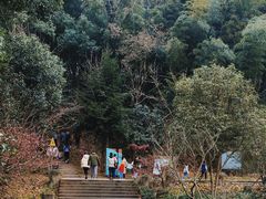 -上海佘山国家森林公园天马山园