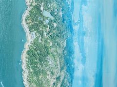 -广东惠东海龟国家级自然保护区