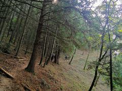 -丰都鬼城名山景区