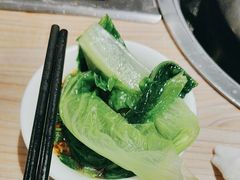 -探窝·竹笙椰子鸡(杨箕店)