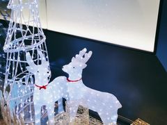 -大头椰·海南椰子鸡火锅(思明万象城店)