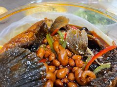 -陈生记黑鱼馆·20年活鱼现杀(宁波鼓楼店)