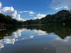 -野象谷景区