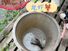 -同銮特种养殖场·龙虾垂钓