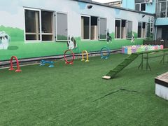 -汪说喵讲宠物乐园宠物酒店(红星美凯龙店)
