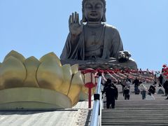 -龙口南山旅游景区