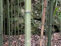 -杭州黄龙洞