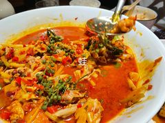 -铁公鸡·四川料理(天环广场店)