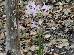 -苏州河梦清园环保主题公园