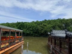 -大湾区中央湿地公园