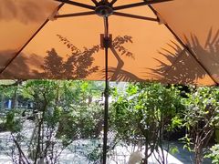-缘生态云南菜·野生菌庭院餐厅(华侨城店)
