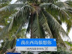 -三亚西岛海洋文化旅游区