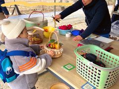 -尚果生态采摘园