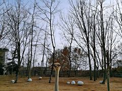 -大连森林动物园