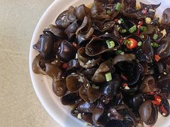 -生态苑农庄(十里画廊遇龙河店)