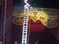 -珠海横琴长隆《卡卡虎奇遇记》