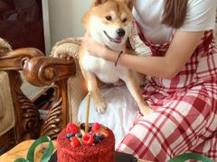 -姆们M Sweetie Cake(五道口店)
