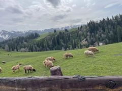 -新疆那拉提国家旅游度假区