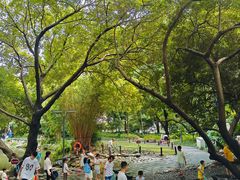 -成都市活水公园