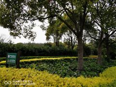 -吴淞炮台湾湿地森林公园烧烤区