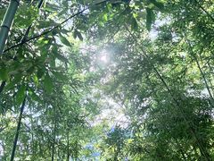 -藏龙百瀑风景区