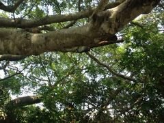 iphone_upload_pic-南丫岛