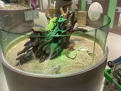 -万达广场(南京江宁店)