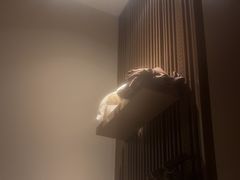 -泰合玺·精油疗愈 SPA(南京河西万达店)