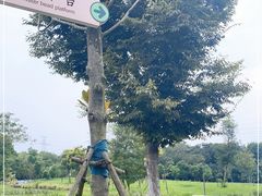 -佛手湖郊野公园