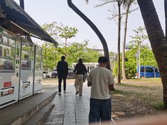 -宝安西湾红树林湿地公园