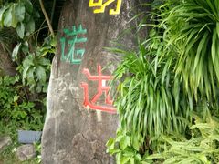 -呀诺达热带雨林