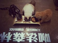-咖法森林·咖啡  酒吧(天河店)