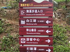 -广州白江湖森林公园