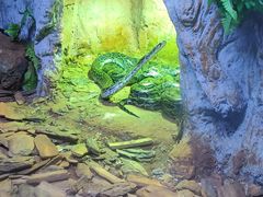 -海南热带野生动植物园