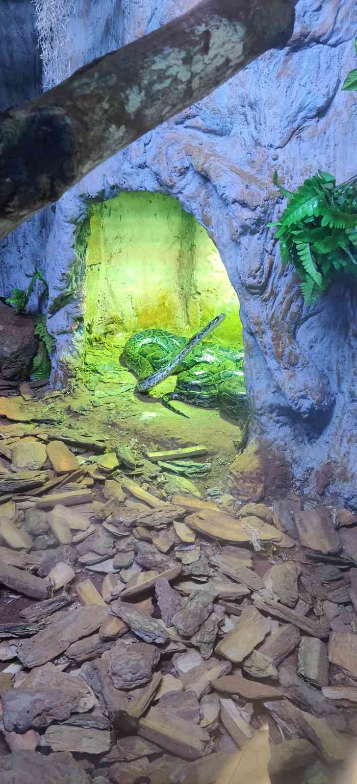 海南热带野生动植物园