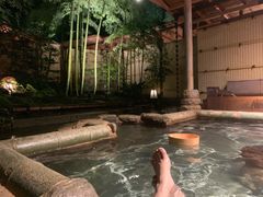 -有马温泉 竹取亭円山温泉旅馆