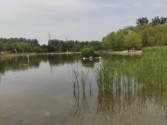 -太阳宫公园