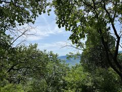 -阳台山自然风景区