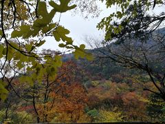 -北京上方山国家森林公园