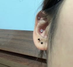-花师傅