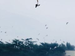 -大连人民广场