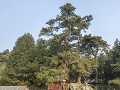 -颐和园