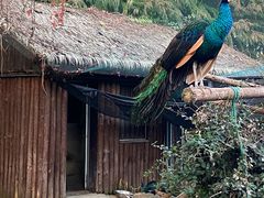 -上方山森林动物世界