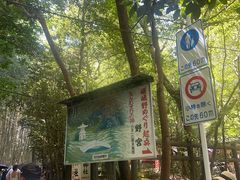 -野宫神社