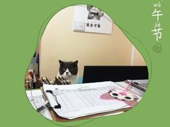 -猫音日语留学培训