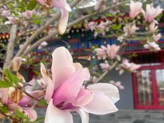 -天津大悲禅院
