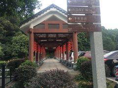 -广州市帽峰山景区