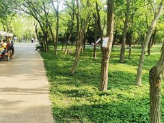 -大兴滨河森林公园
