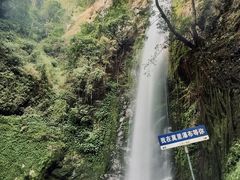 -莫里热带雨林景区